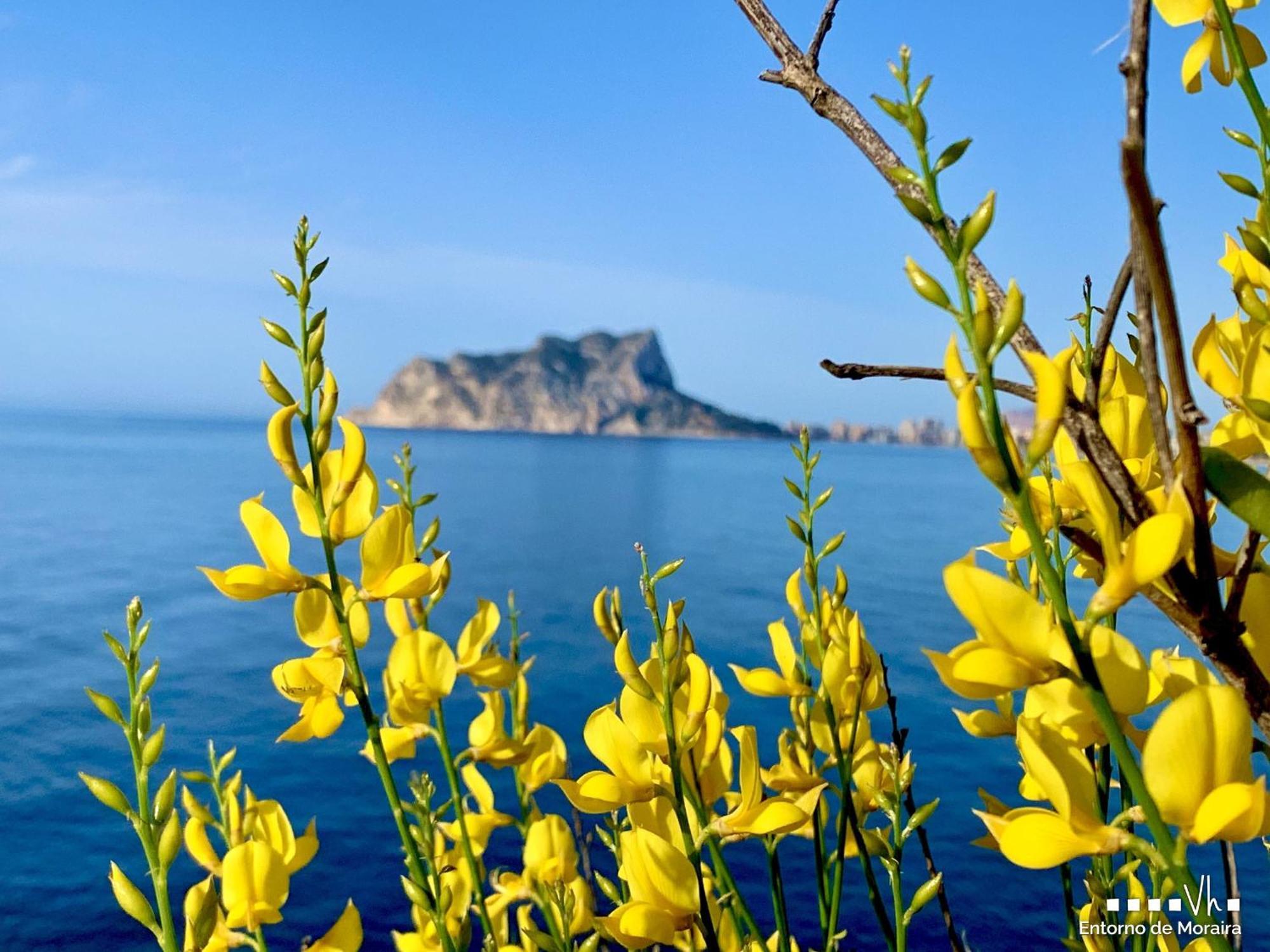 Villa Vh Costablanca - Fonda Calpe